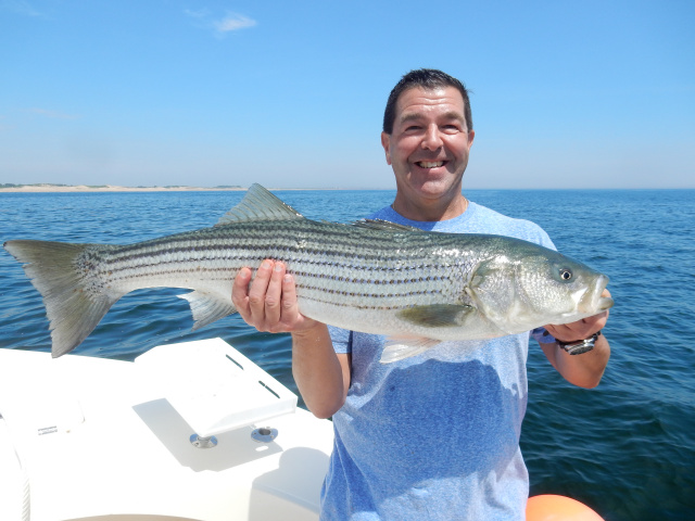 Chuck's Plum Island Beach striper